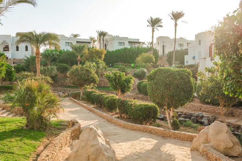 Sharm Plaza 31