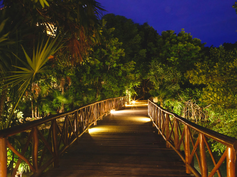 Catalonia Royal Tulum 11