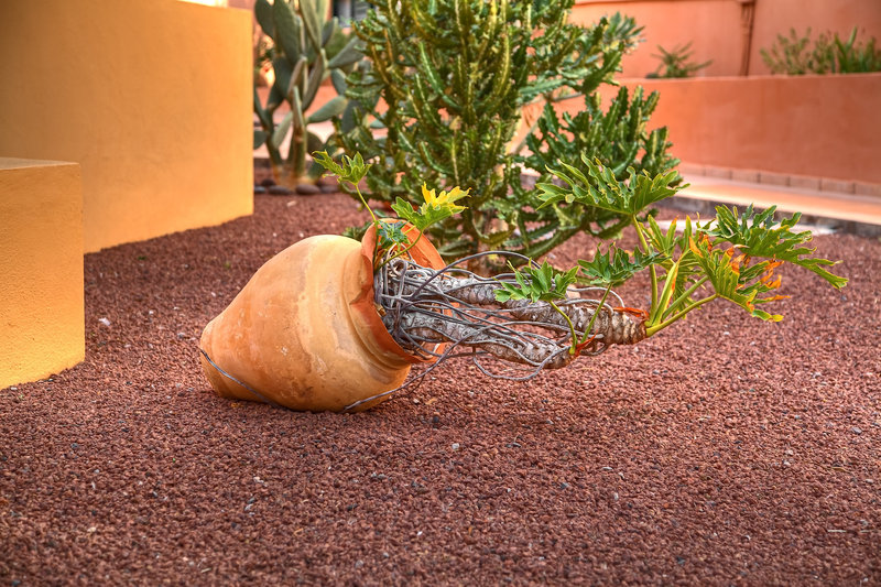 Complejo Las Tres Palmeras 2