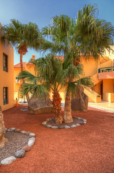 Complejo Las Tres Palmeras 3