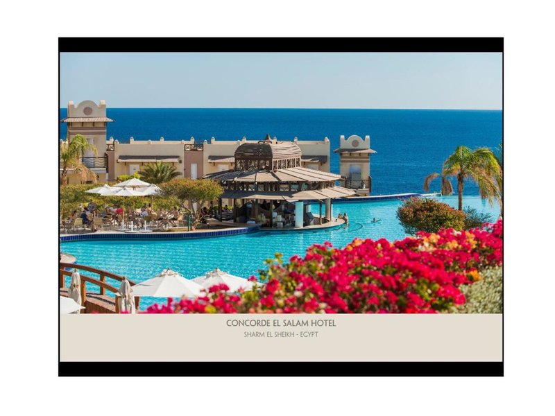 Concorde El Salam Hotel Sharm El Sheikh By Royal Tulip 6 - Outdoor Pool