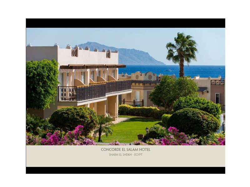 Concorde El Salam Hotel Sharm El Sheikh By Royal Tulip 21 - Room Example