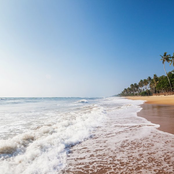 Siddhalepa Ayurveda 1