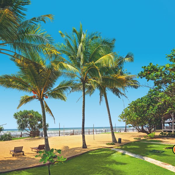 Siddhalepa Ayurveda 5