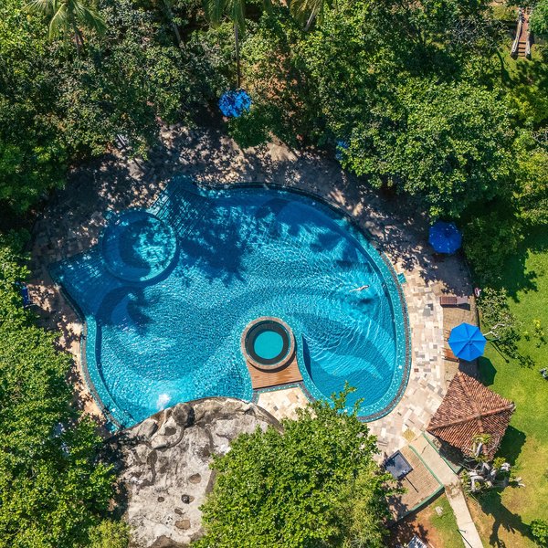 Siddhalepa Ayurveda 6