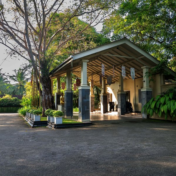 Siddhalepa Ayurveda 8