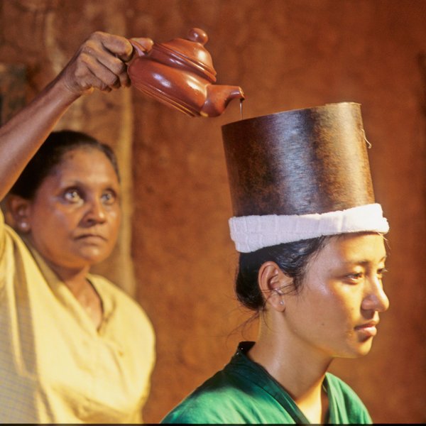 Siddhalepa Ayurveda 12