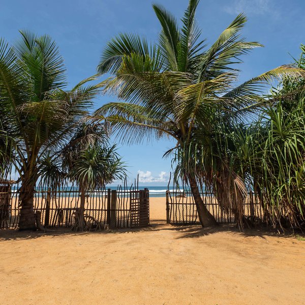 Siddhalepa Ayurveda 13