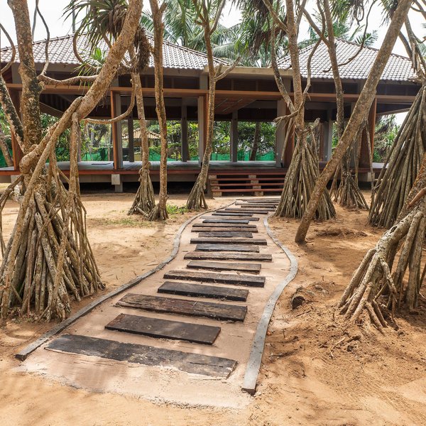 Siddhalepa Ayurveda 14