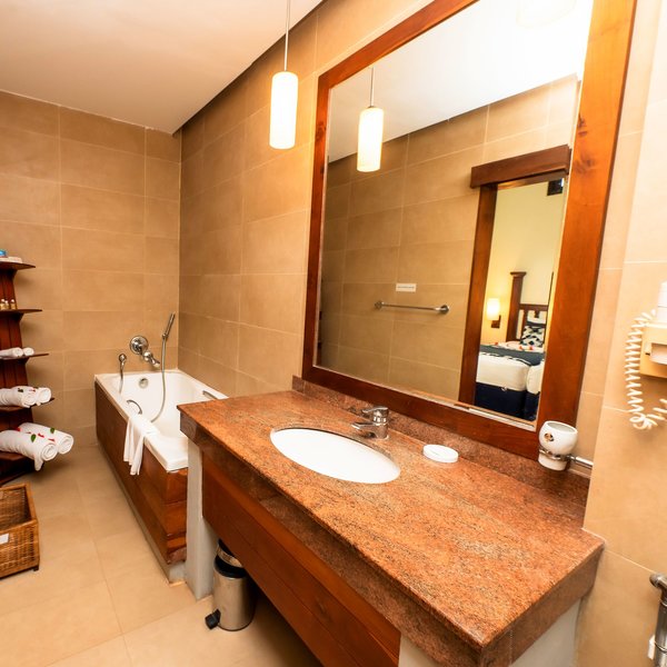 Siddhalepa Ayurveda 20