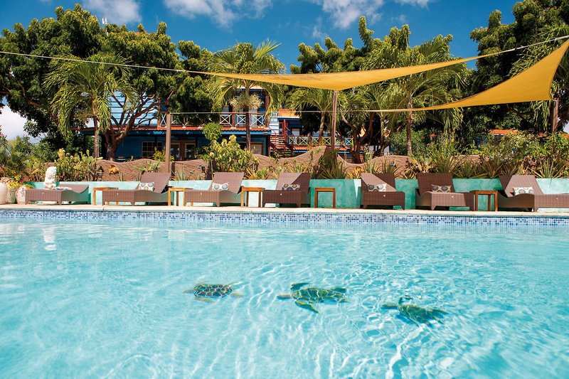 True Blue Bay Boutique Resort 8