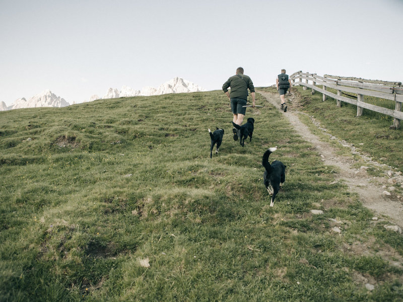 Hotel Leitlhof Dolomiten 12