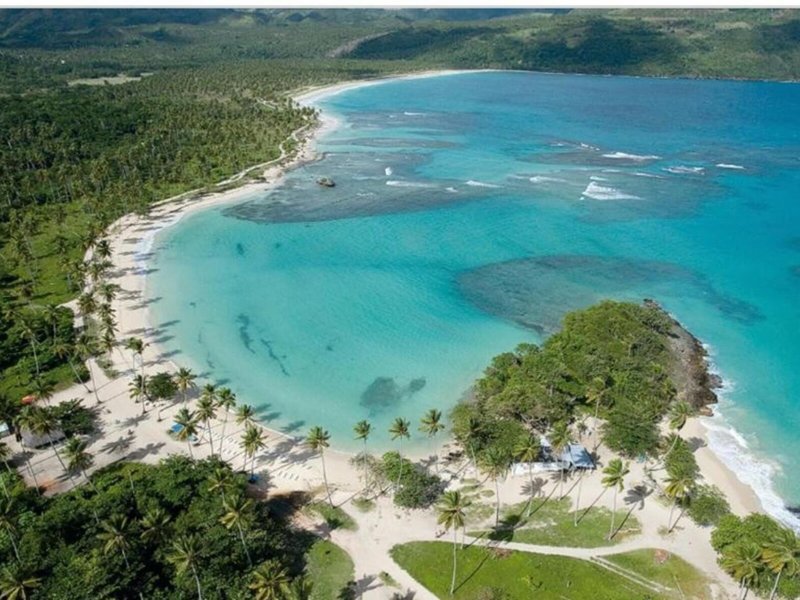 Hodelpa Caribe Colonial 8