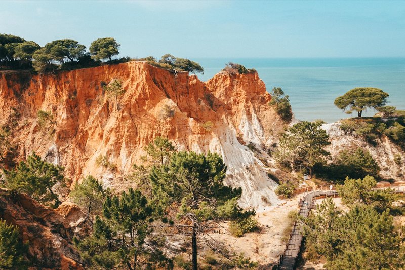 Pine Cliffs Residence, a Luxury Collection Resort 7