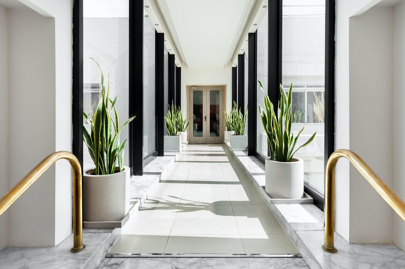 Plaza Hotels - Plaza 4