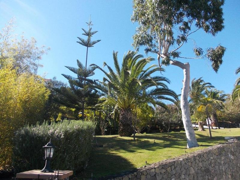 La Palma Romantica 4