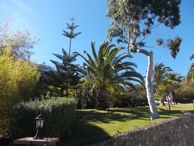 La Palma Romantica 3 - Garden
