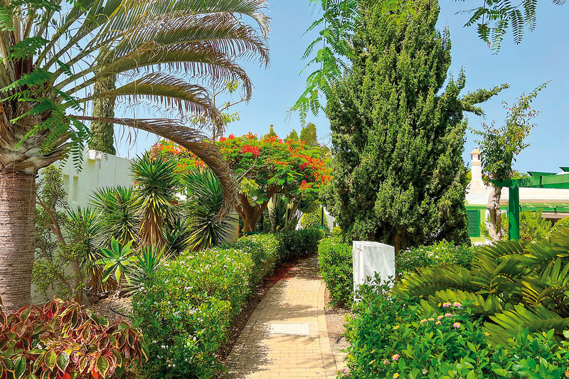 Cordial Sandy Golf 6