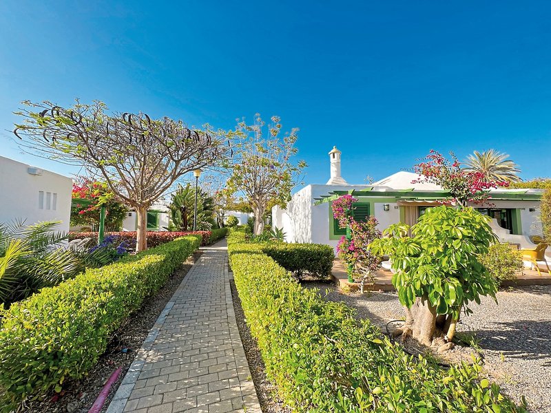 Cordial Sandy Golf 8