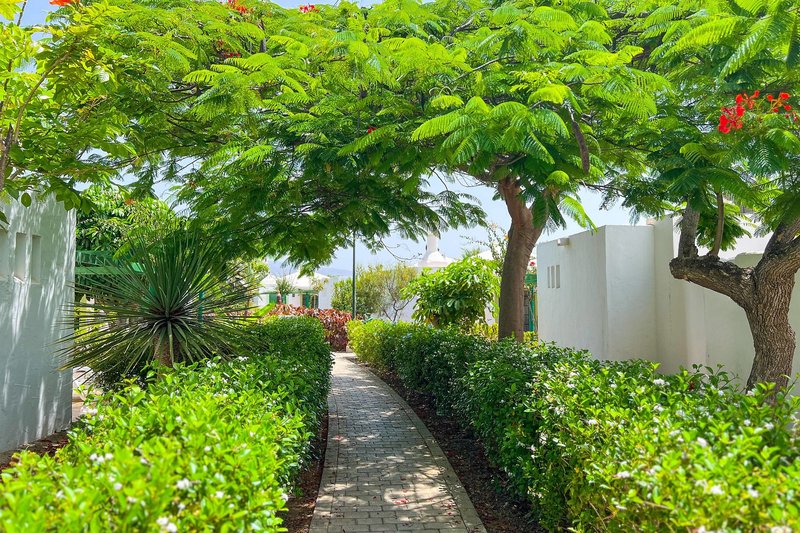 Bungalows Cordial Sandy Golf 20