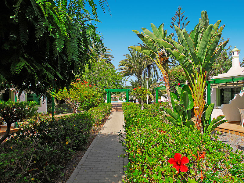 Cordial Sandy Golf 6