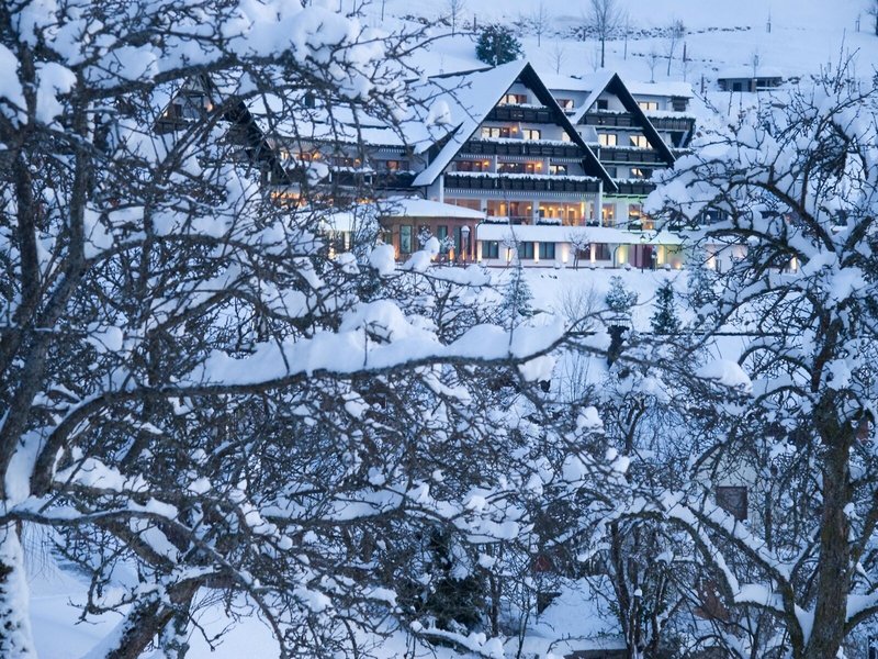 Dollenberg 1