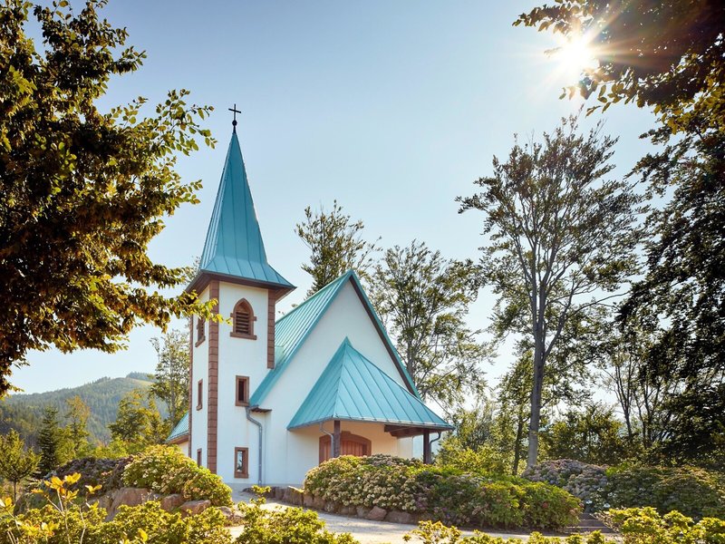 Dollenberg 5