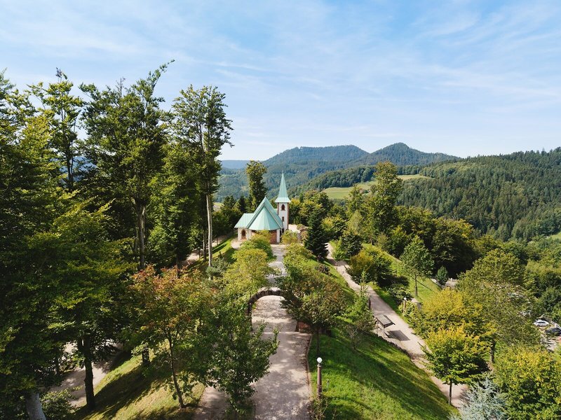 Dollenberg 24