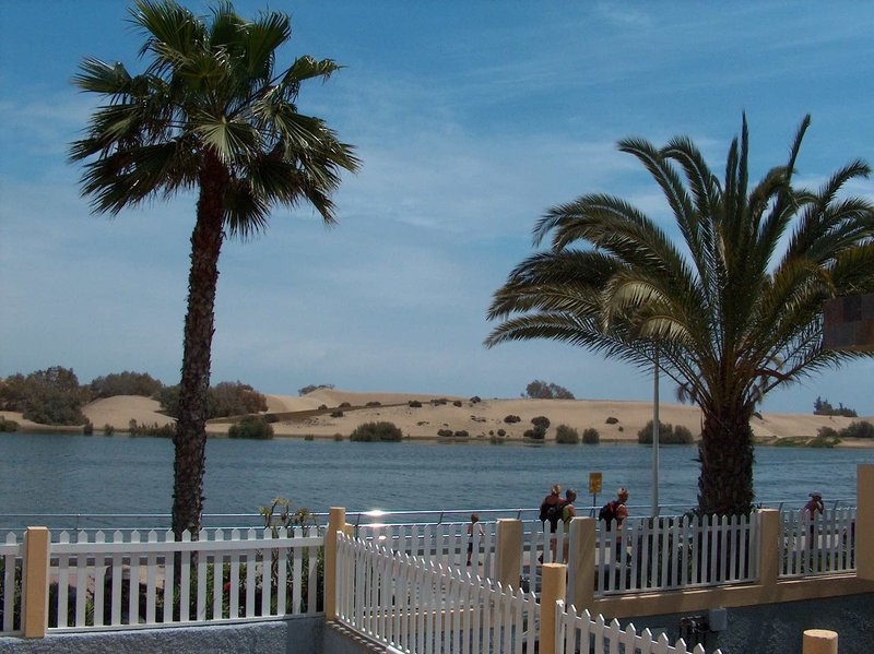 Oasis Maspalomas Appartements 8