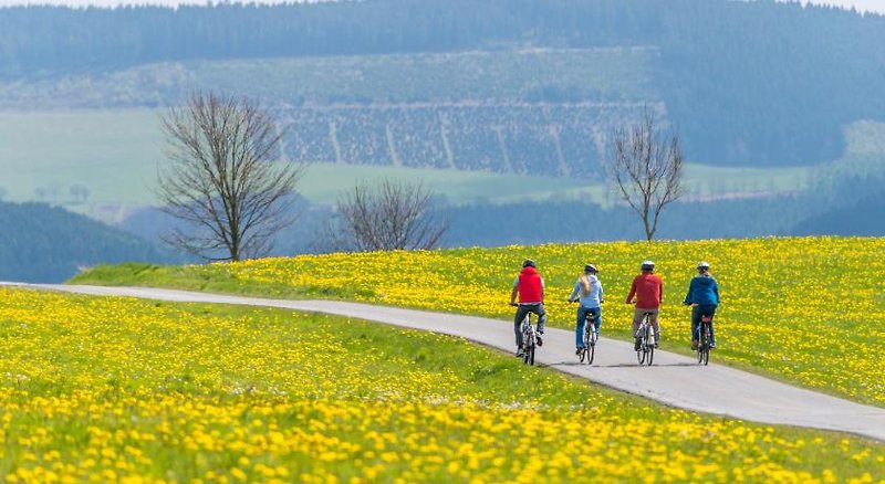 Sauerland Alpin Hotel 3