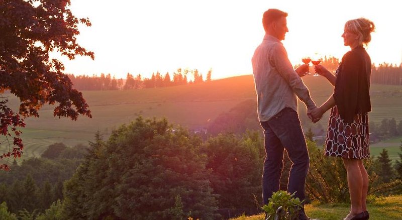 Sauerland Alpin Hotel 4