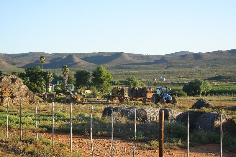 De Denne Country Guest House 1