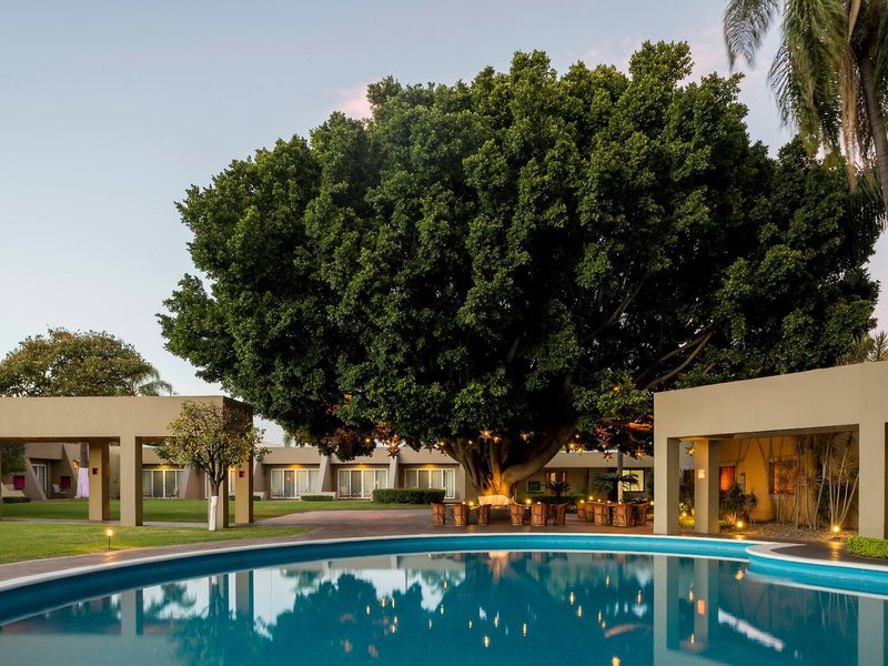 Camino Real Guadalajara 14