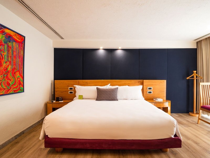 Camino Real Guadalajara 50