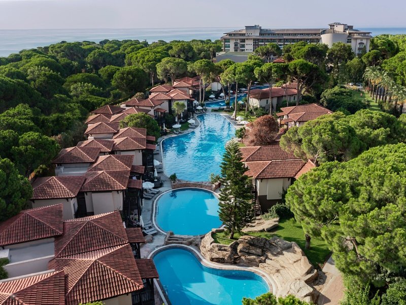 Papillon Ayscha 2 - Exterior