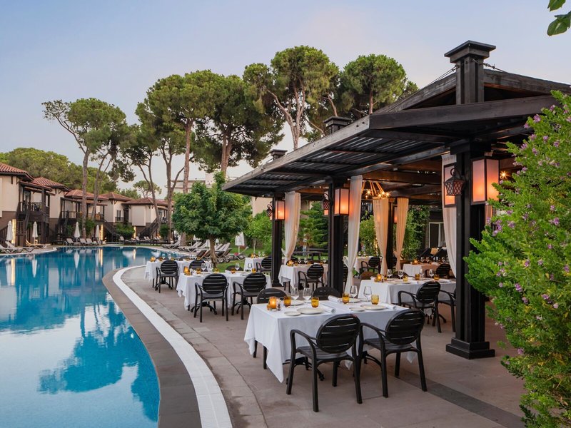 Papillon Ayscha 12 - Restaurant