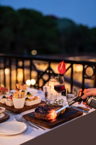 Papillon Ayscha 35 - Restaurant