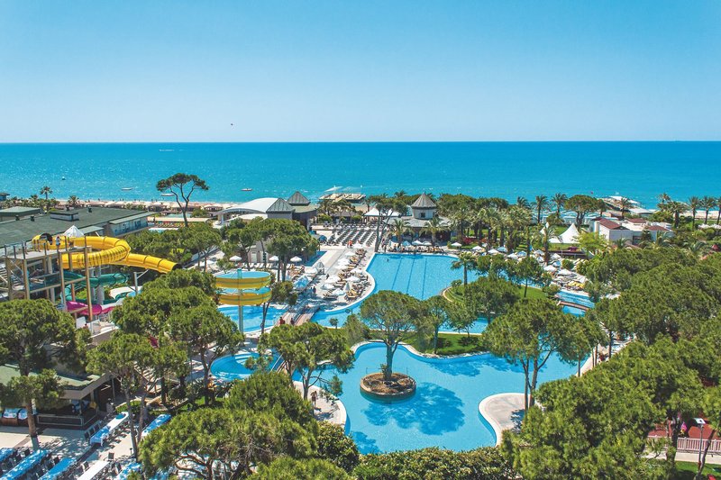 Papillon Aysha 1 - Exterior