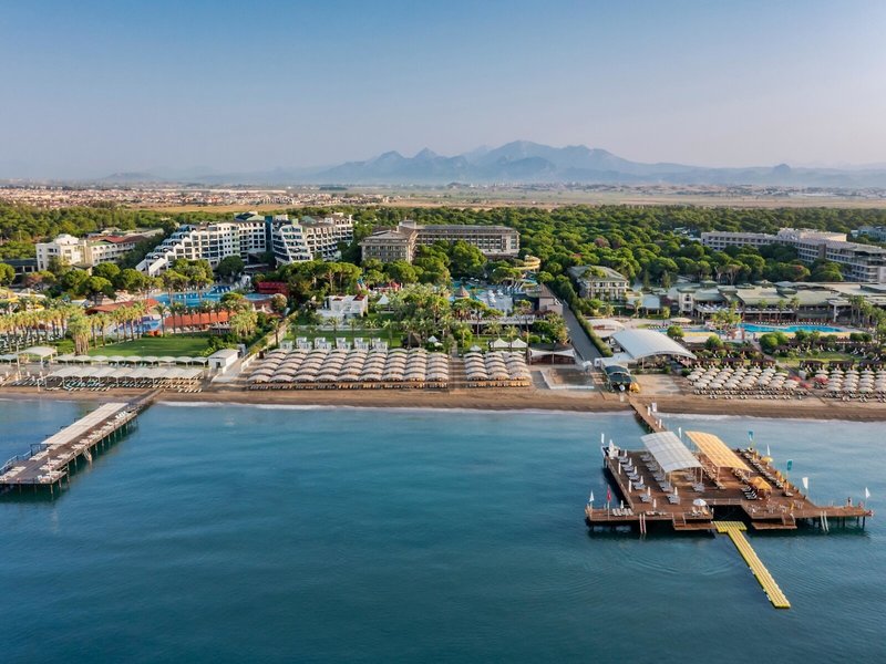 Papillon Aysha 10 - Beach