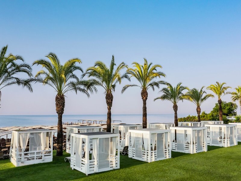 Papillon Aysha 11 - Beach