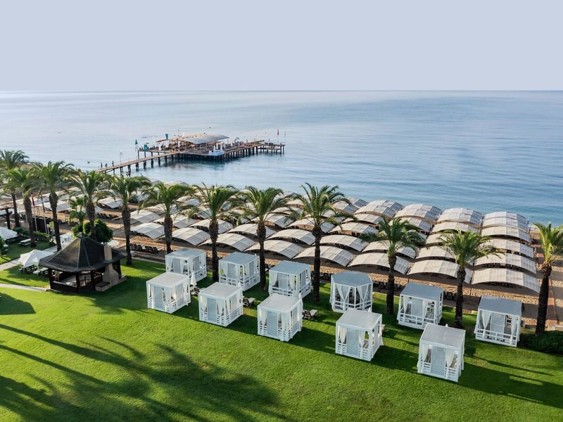 Papillon Aysha 12 - Beach