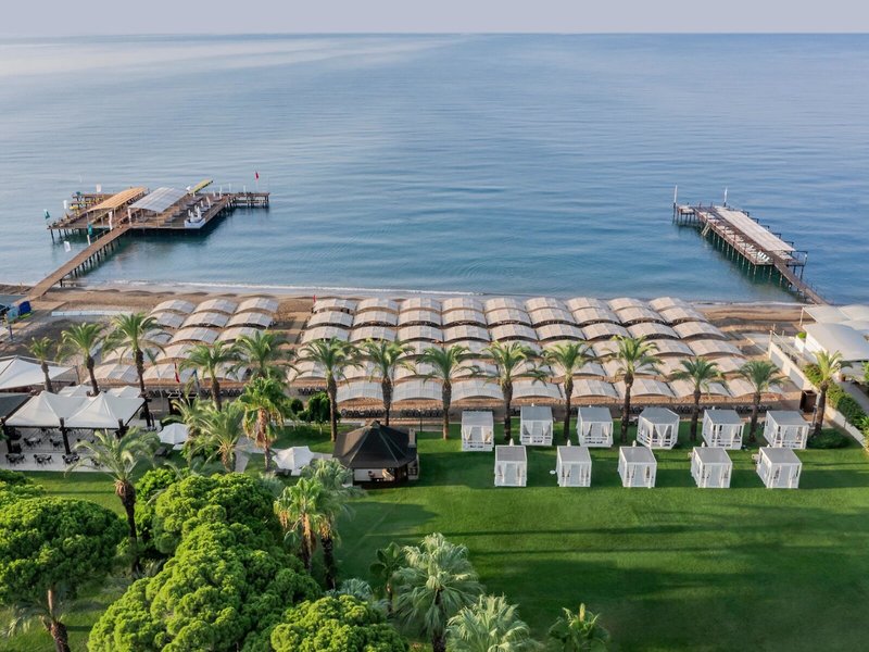 Papillon Aysha 13 - Beach