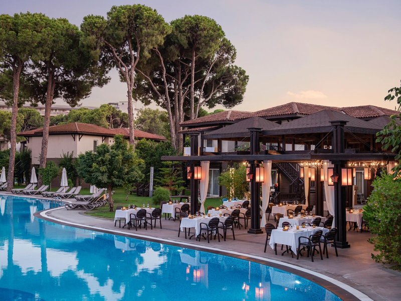 Papillon Aysha 33 - Restaurant