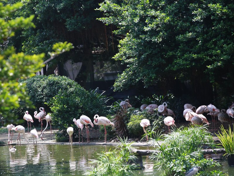 Intercontinental Hongkong 7