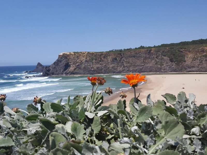 Vicentina Aparthotel 11