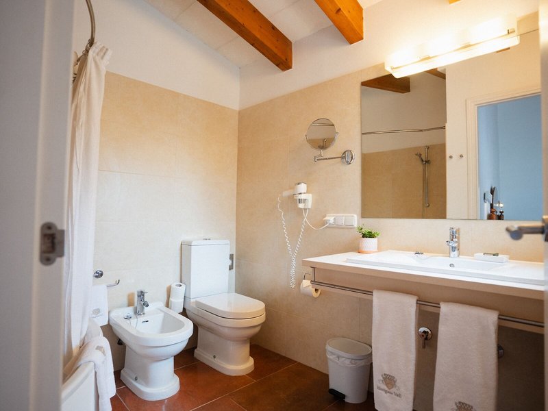 Rural Binigaus Vell 46