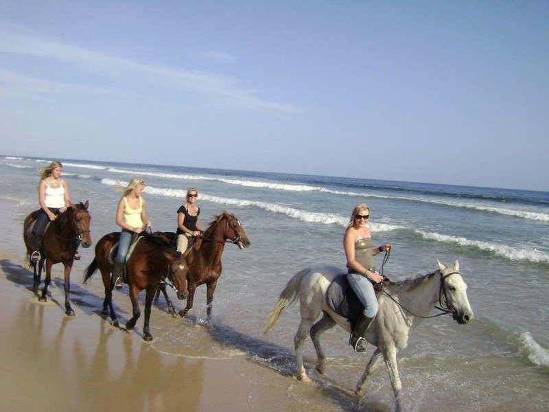 Super Tubes Guesthouse 5