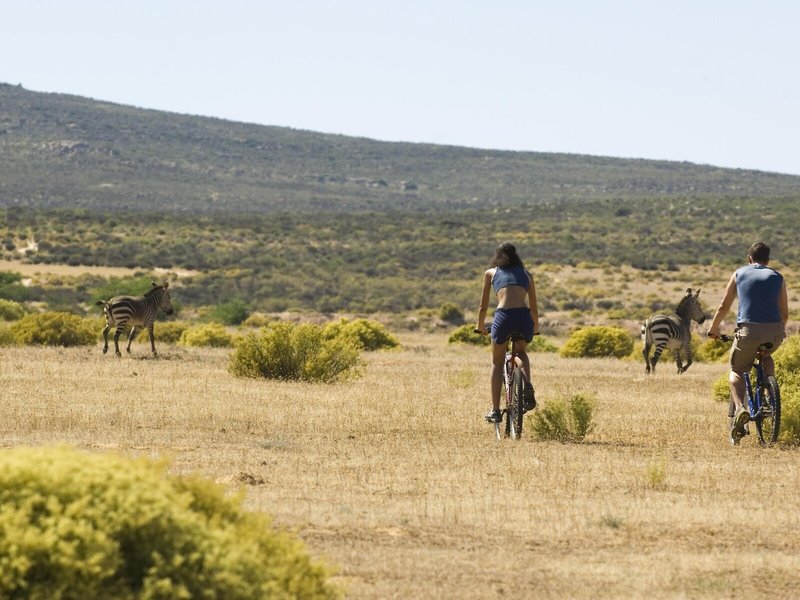 Bushman´s Kloof Reserve 12