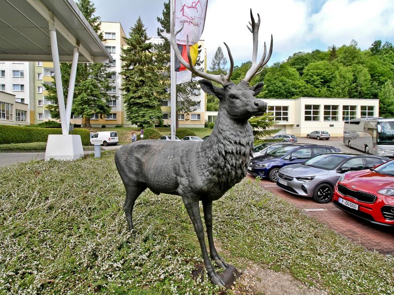Morada Hotel Alexisbad 4