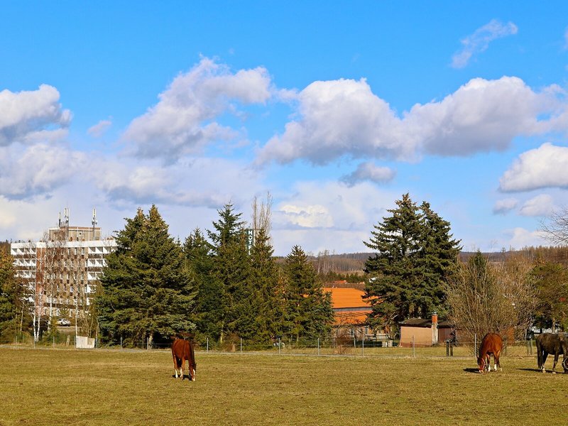Sport& Wellnesshotel Harzer Land Haus Braunschweig & Haus Gotha 6